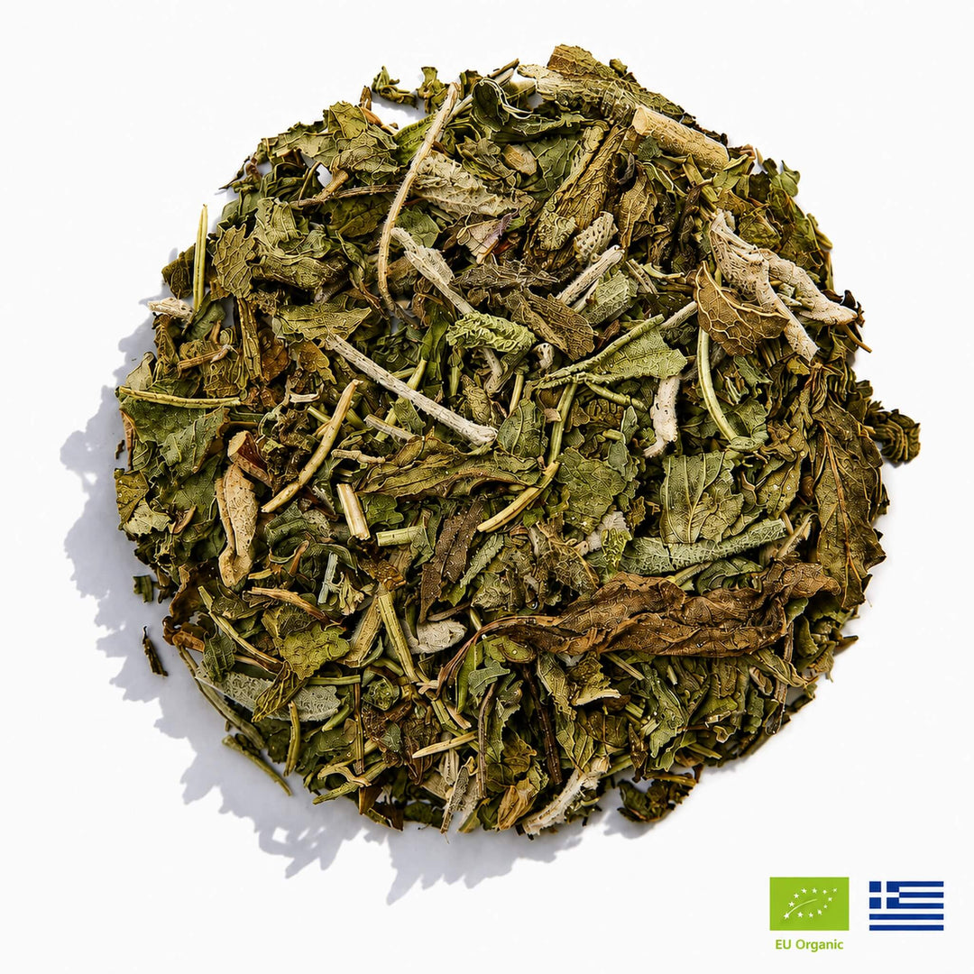 Focus Tea organic Greek herbal blend