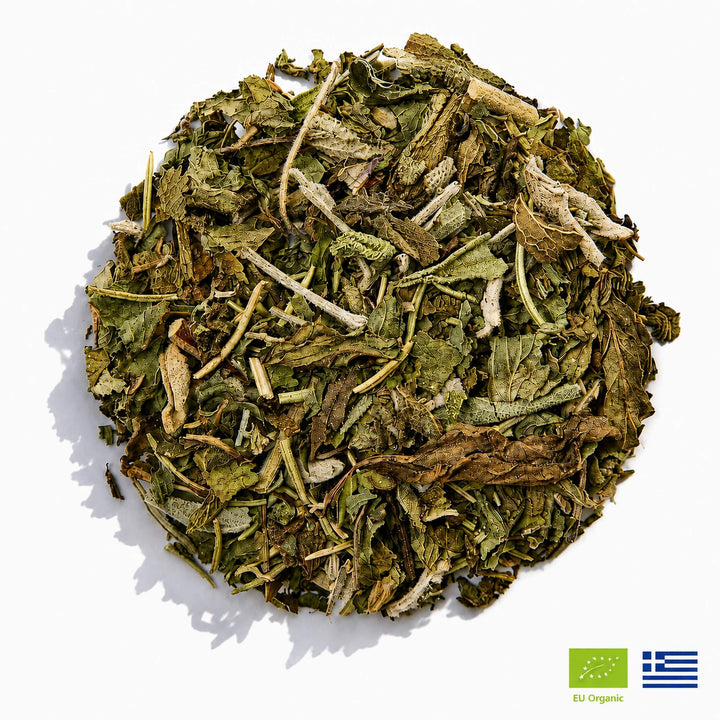 Focus Tea organic Greek herbal blend