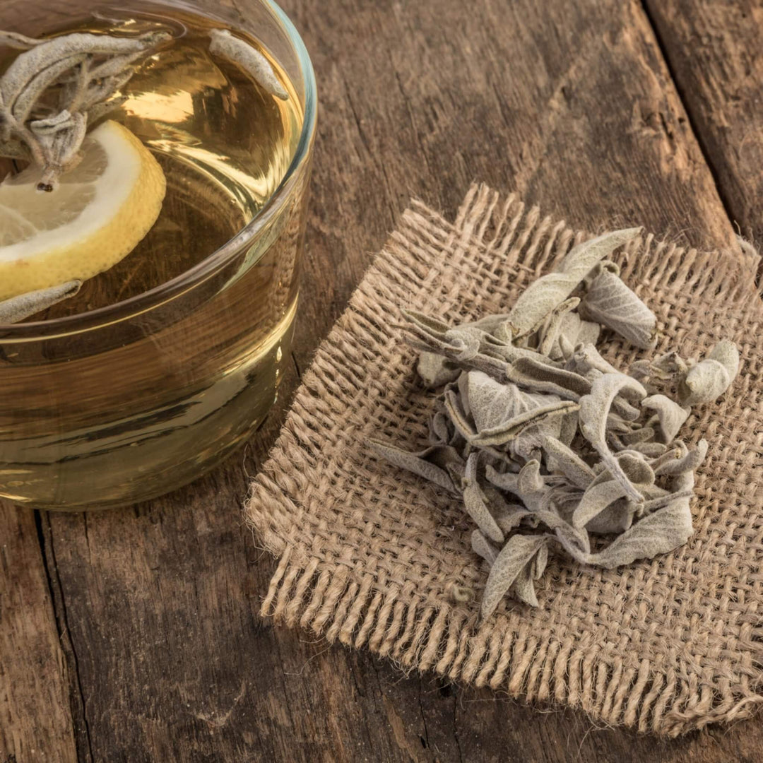 Greek Sage Tea Salvia Fruticosa Greek herbal tea